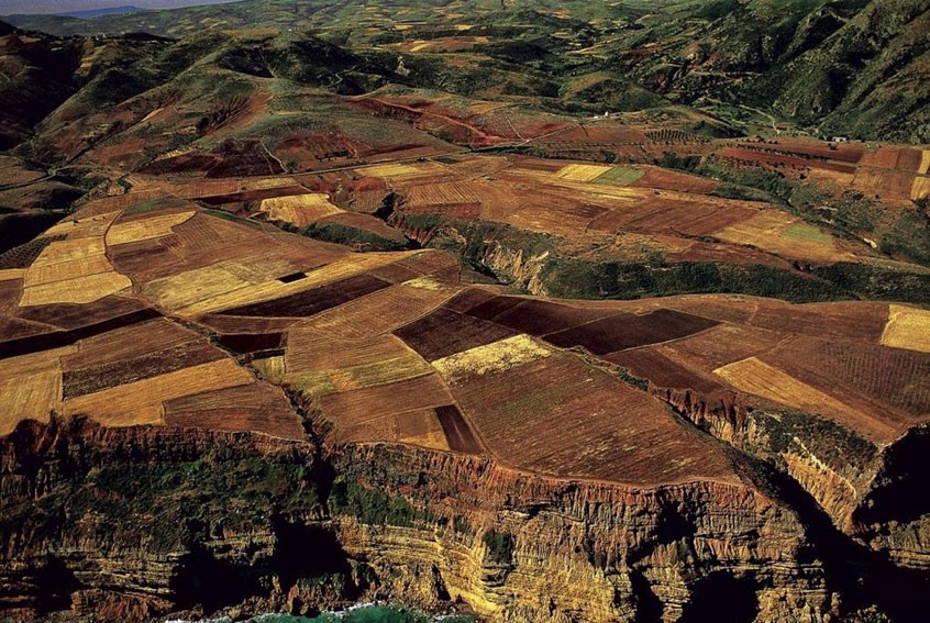 Cropfields near the coast