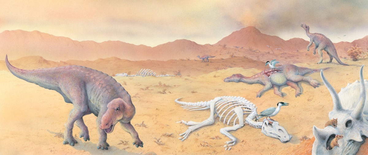 Dinosaurs dying out at the end of the Cretaceous