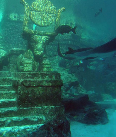 An aquarium at the Paradise Island Hotel, Bahamas