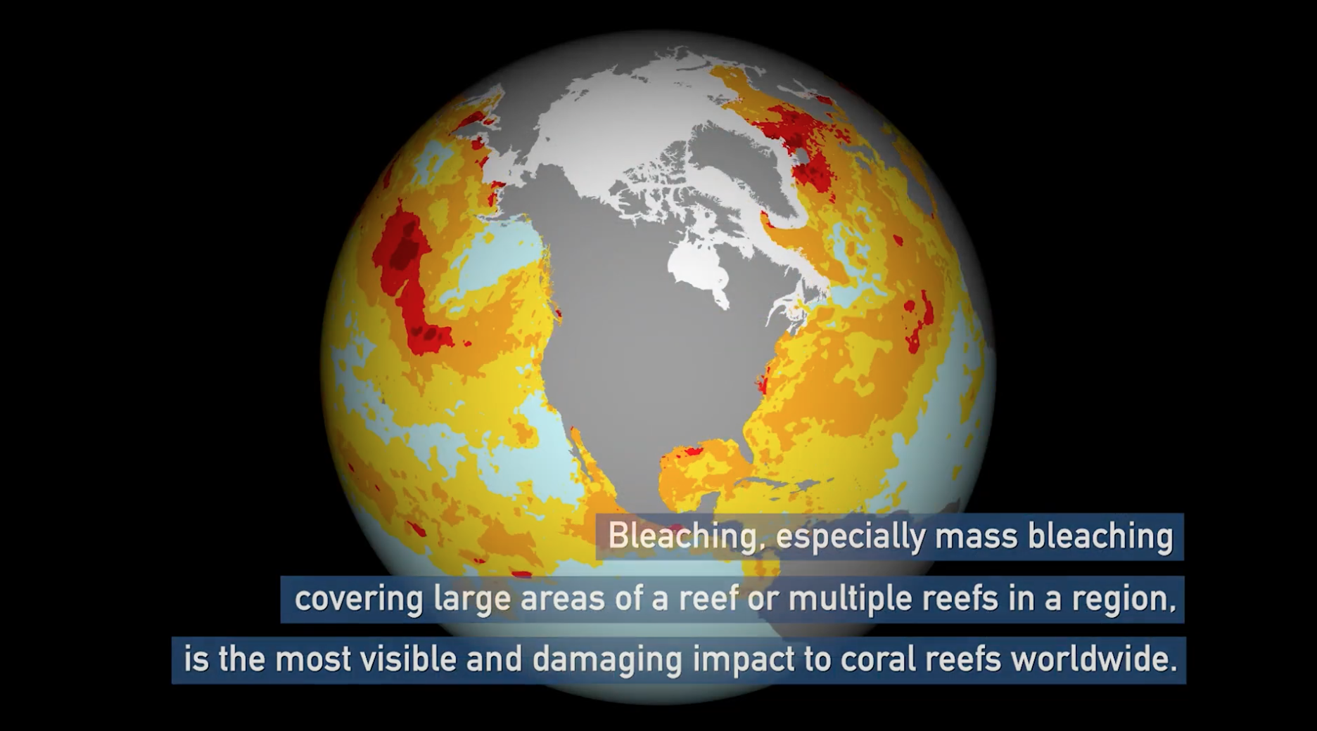 NOAA video released in April 2024 describing the current coral bleaching event