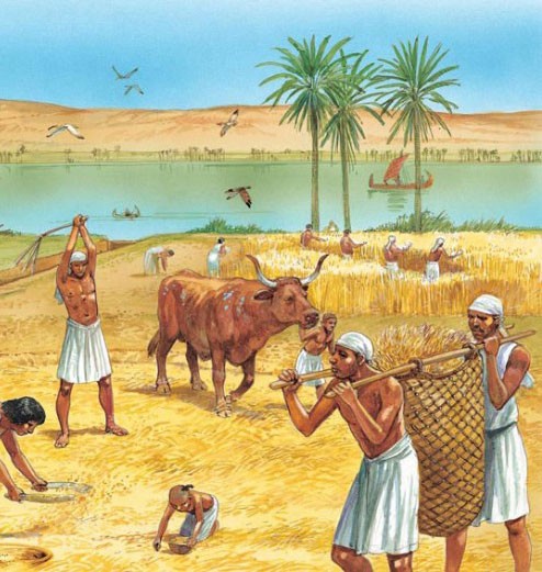 Farming in the valley of the Nile
