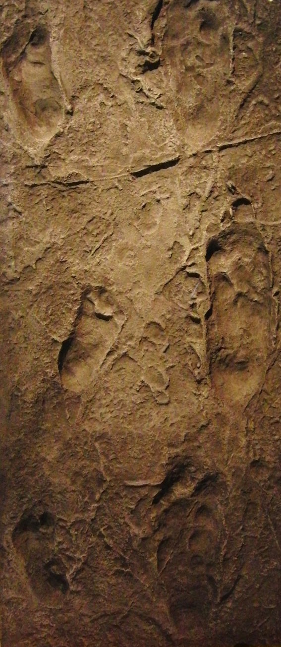 Cast of the Laetoli footprints