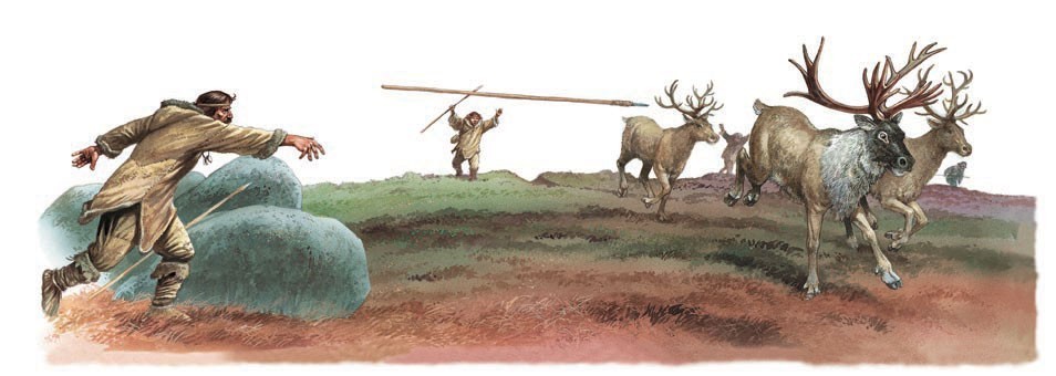 Using spears to hunt deer