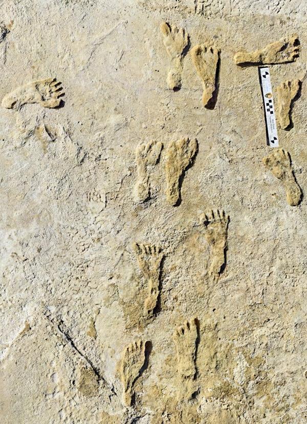 Fossilized human footprints at White Sands National Park