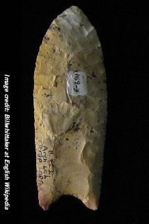A Clovis point