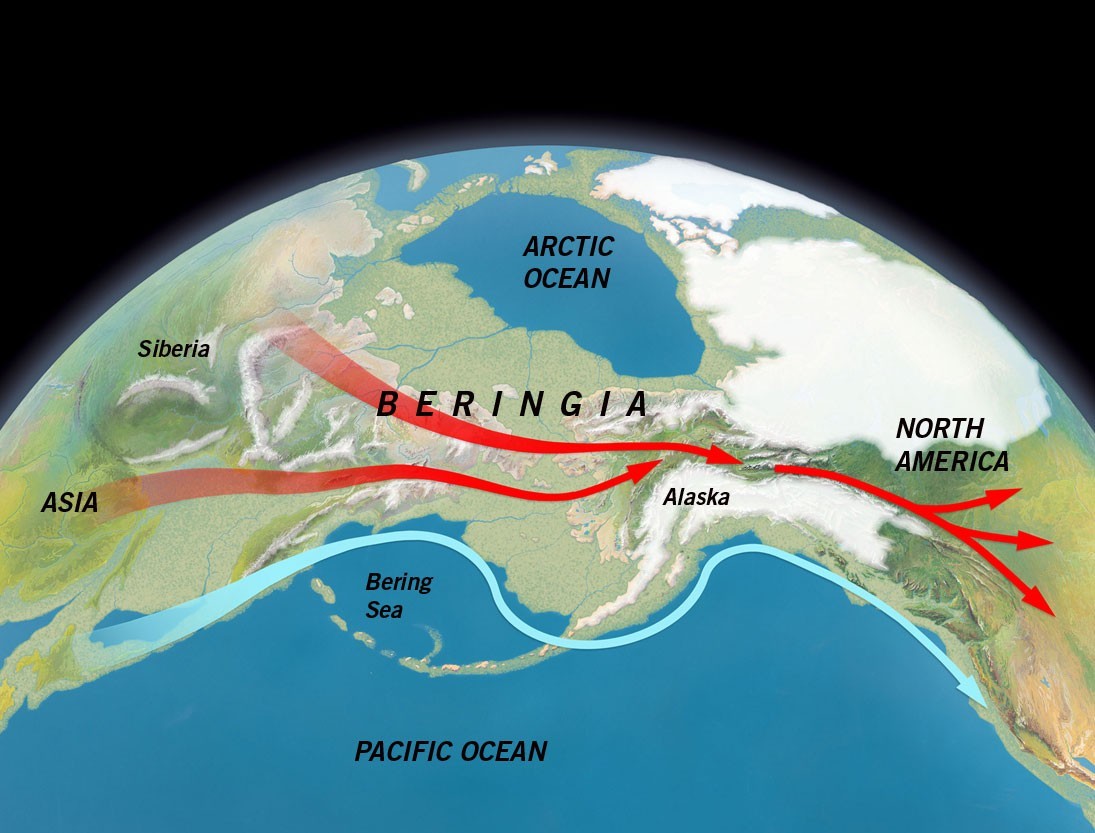 Migration routes into the Americas