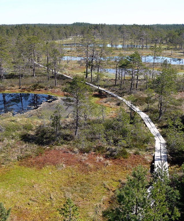 EU protected habitat in Estonia