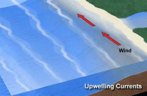An animation showing upwelling off the coast of Peru