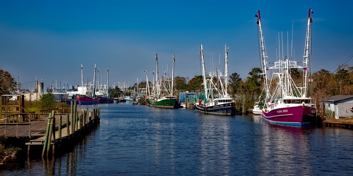 Shrimp boats moored at Bayou La Batre