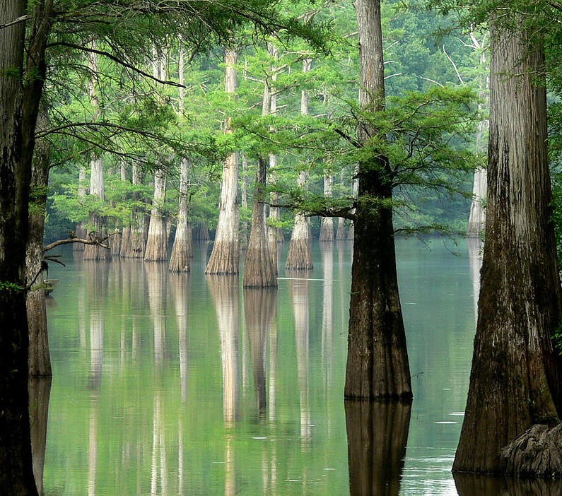 White River, Eastern Arkansas