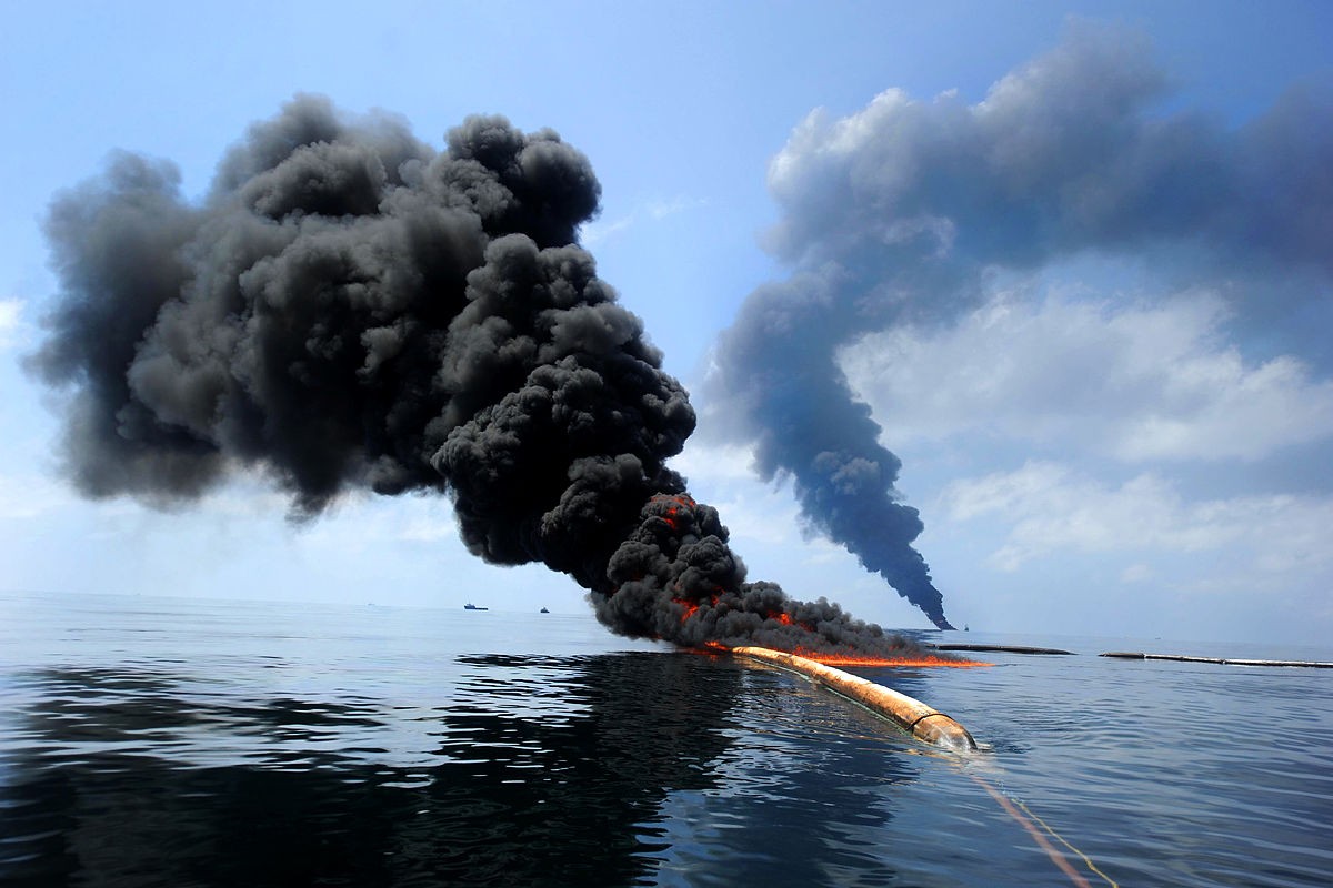 Deepwater Horizon oil spill, 2010