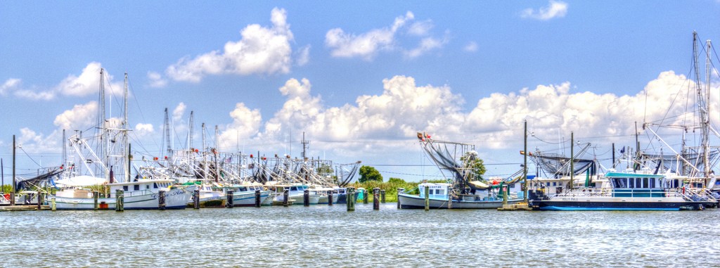 Shrimp boats, Venice, Louisiana