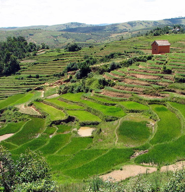 Agricultural terraces, Madagascar
