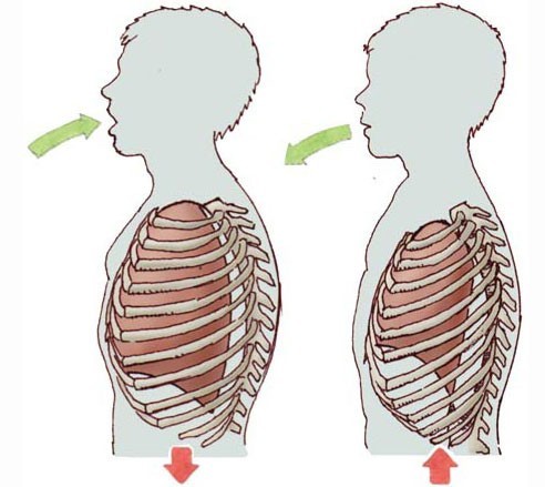 Breathing in (left) and out (right)