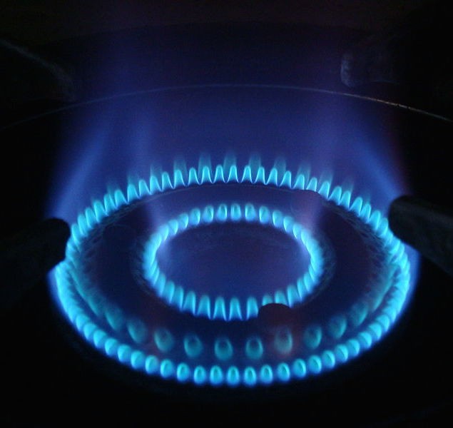 Blue flames from the burning of gas on a cooking ring