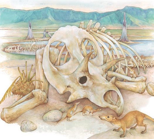 Mammals scuttle among the bones of a Triceratops