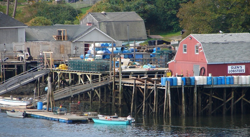 Lobster fishery