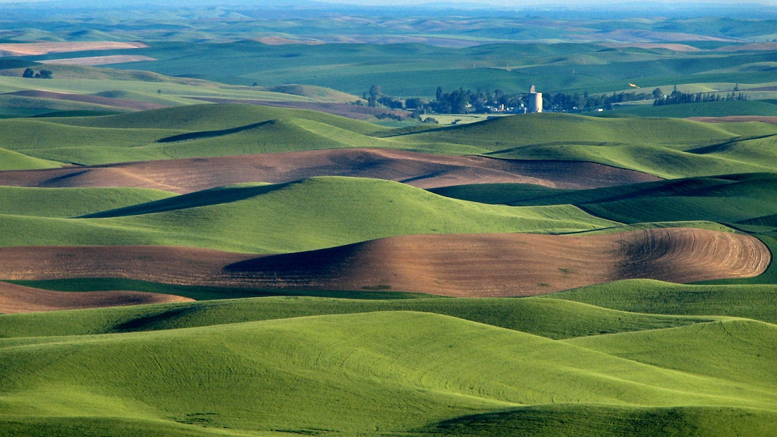 Fields in the Palouse hills