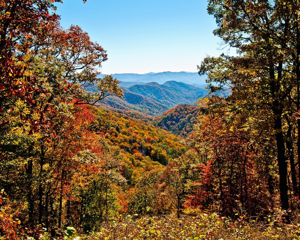 Autumn in the Great Smoky Mountains