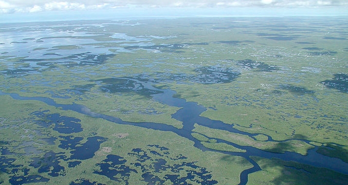 Everglades National Park, as seen from the air