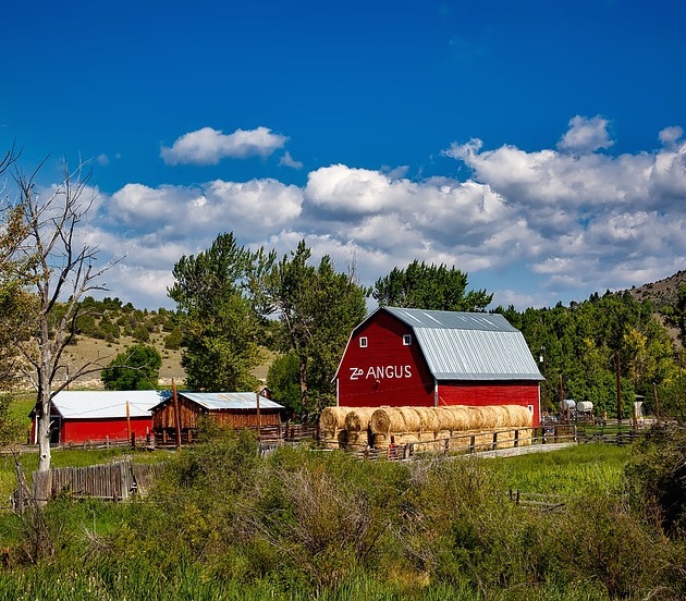 Farm buildings, Montana