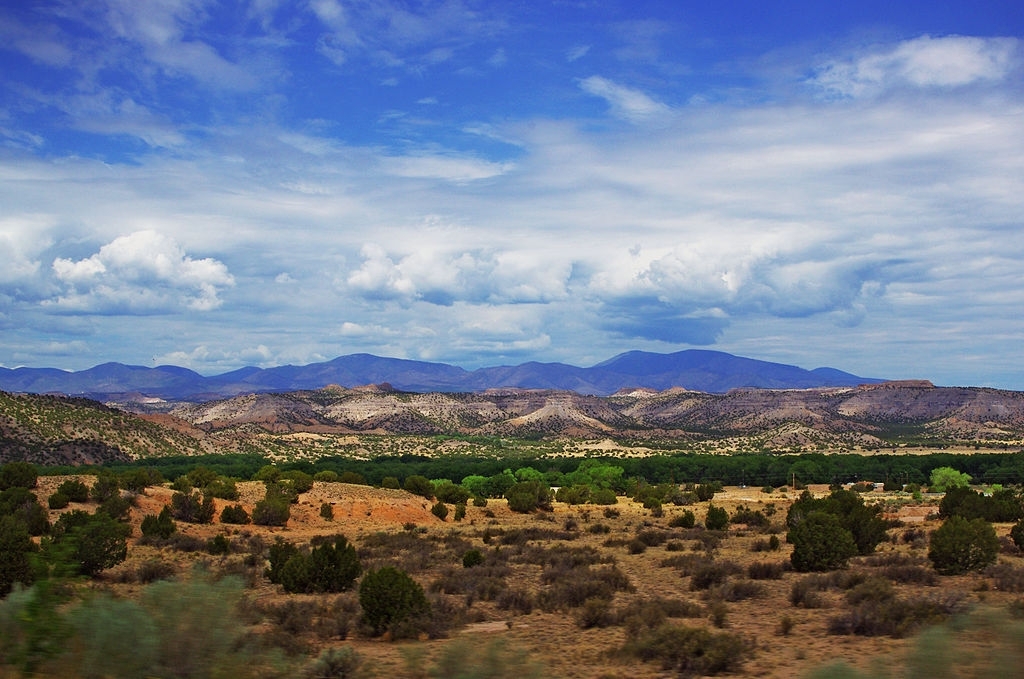 Desert landscape