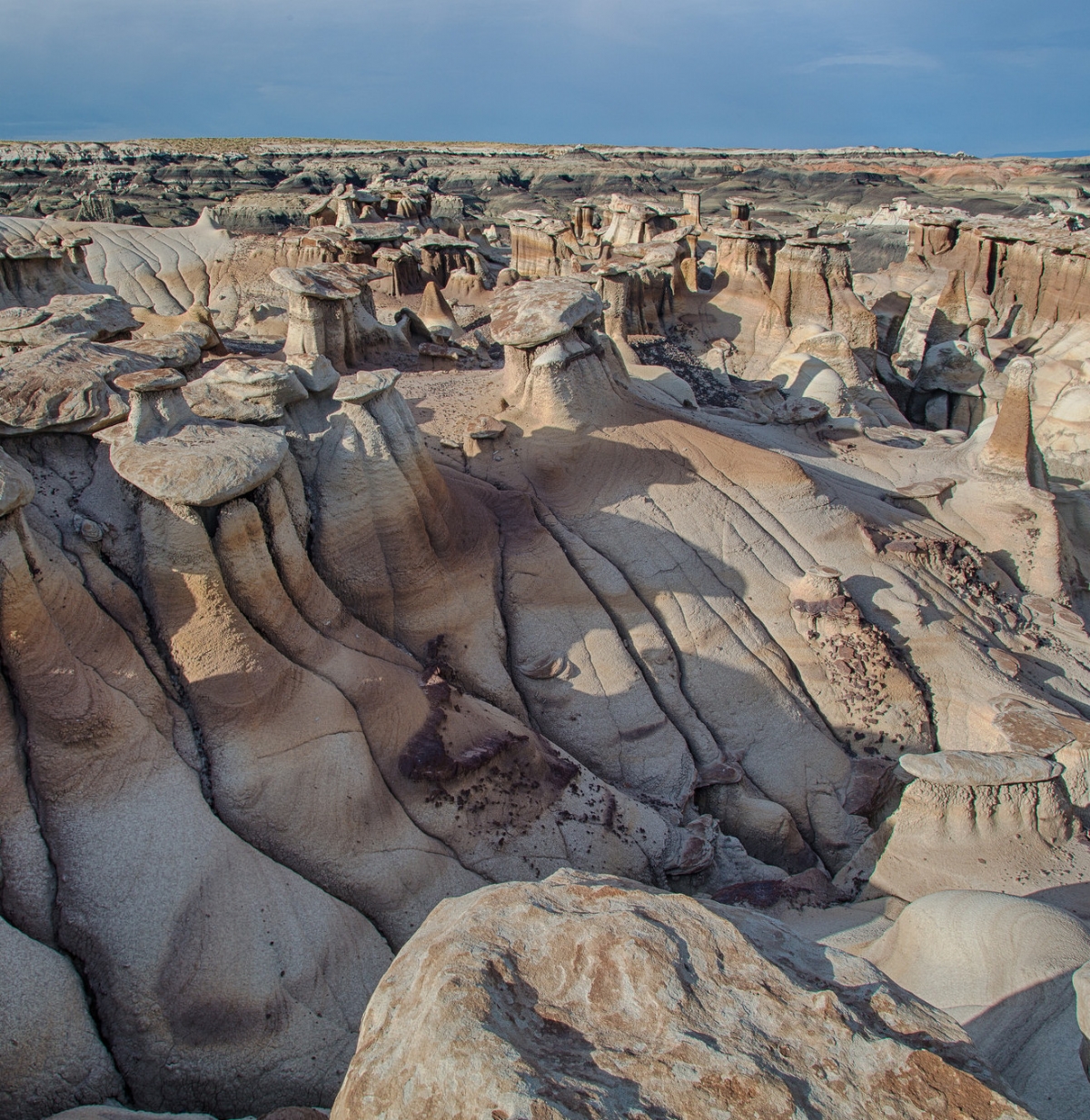 Bisti / De-Na-Zin Wilderness Area