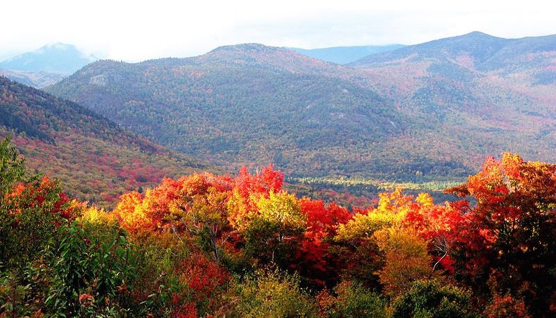 Fall colours in New Hampshire