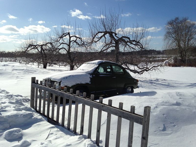 A winter view of an orchard in Hollis