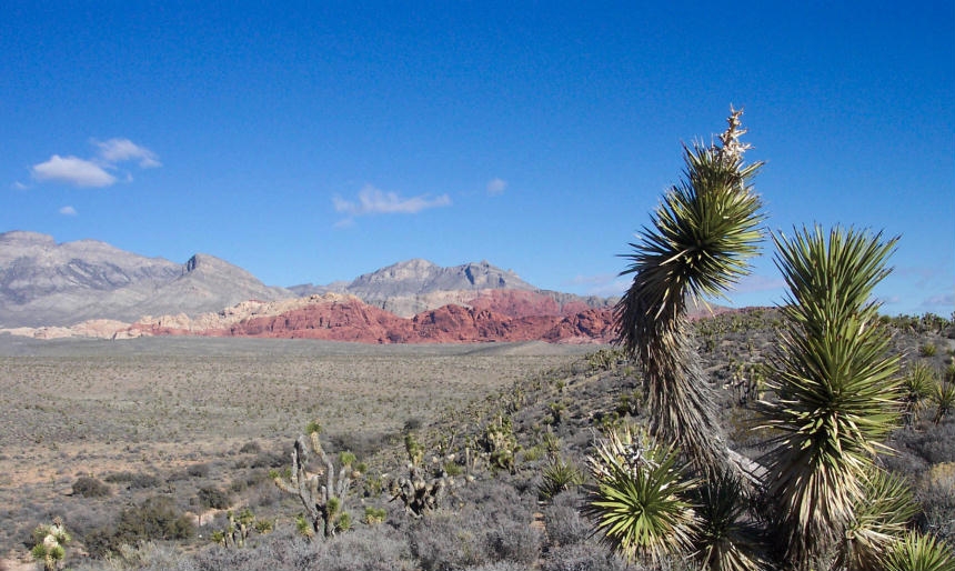 Red Rock Canyon National Conservation Area