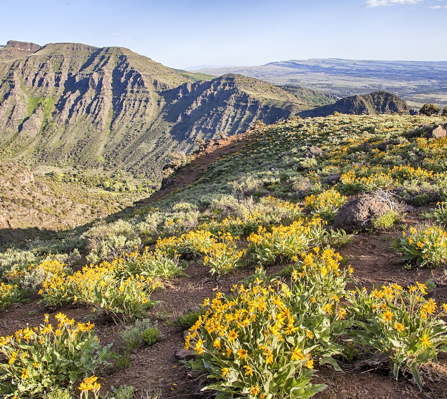 Steens Mountain Wilderness, southeast Oregon