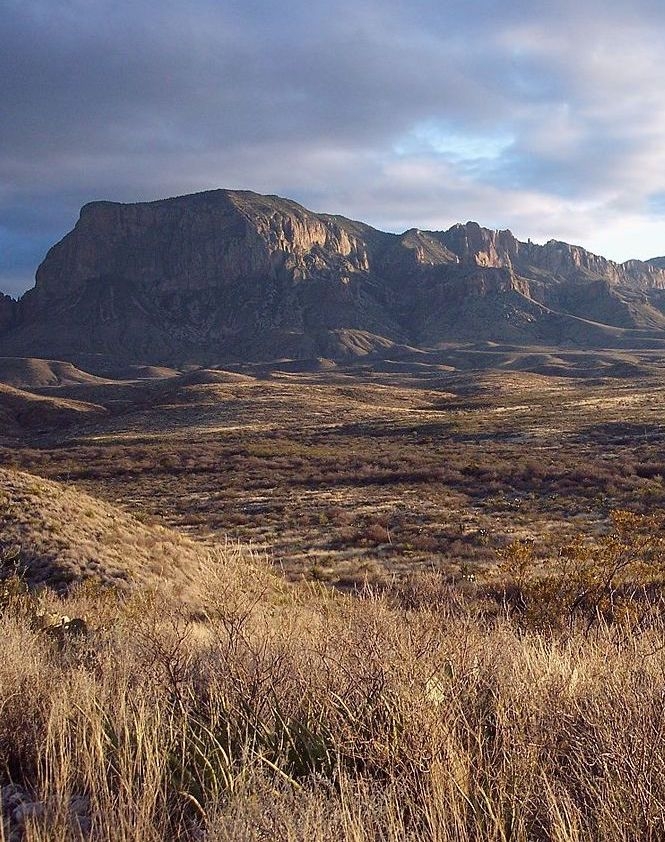 Chihuahuan Desert in the Big Bend region