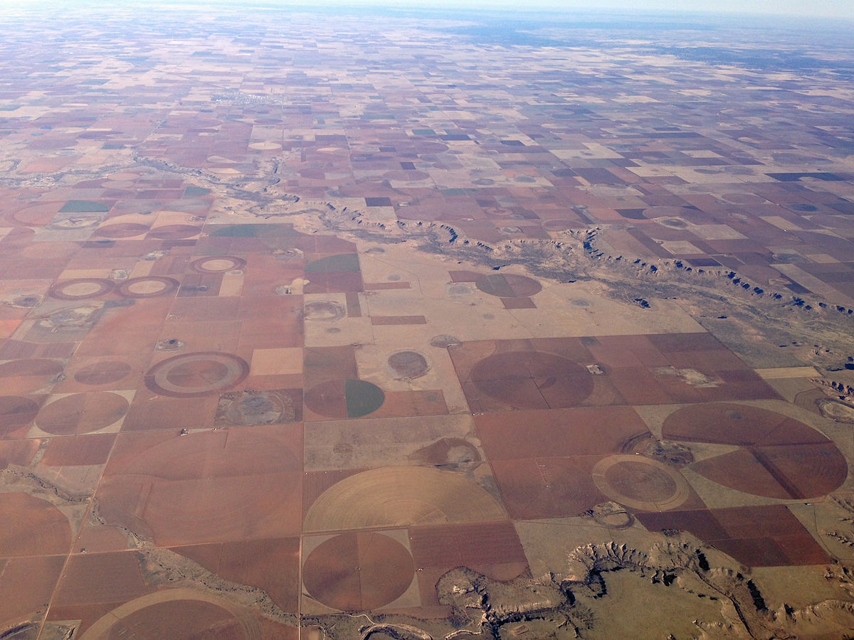 Cultivated fields in the Llano Estacado region