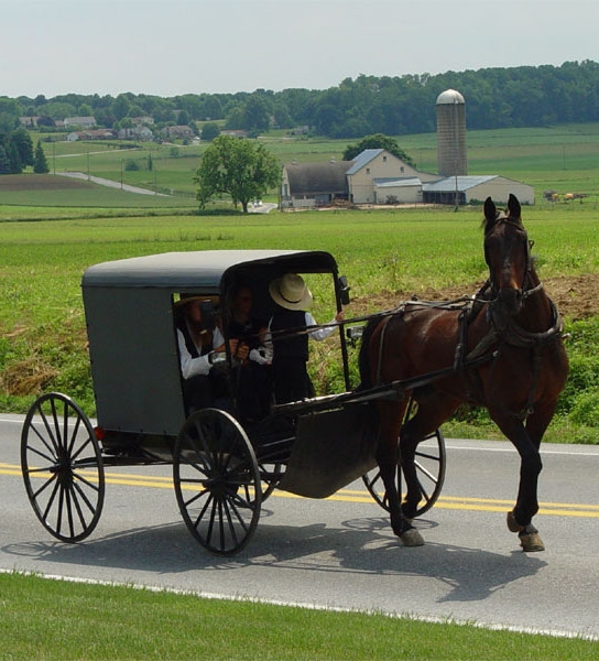 An Amish family riding in a buggy, Lancaster County
