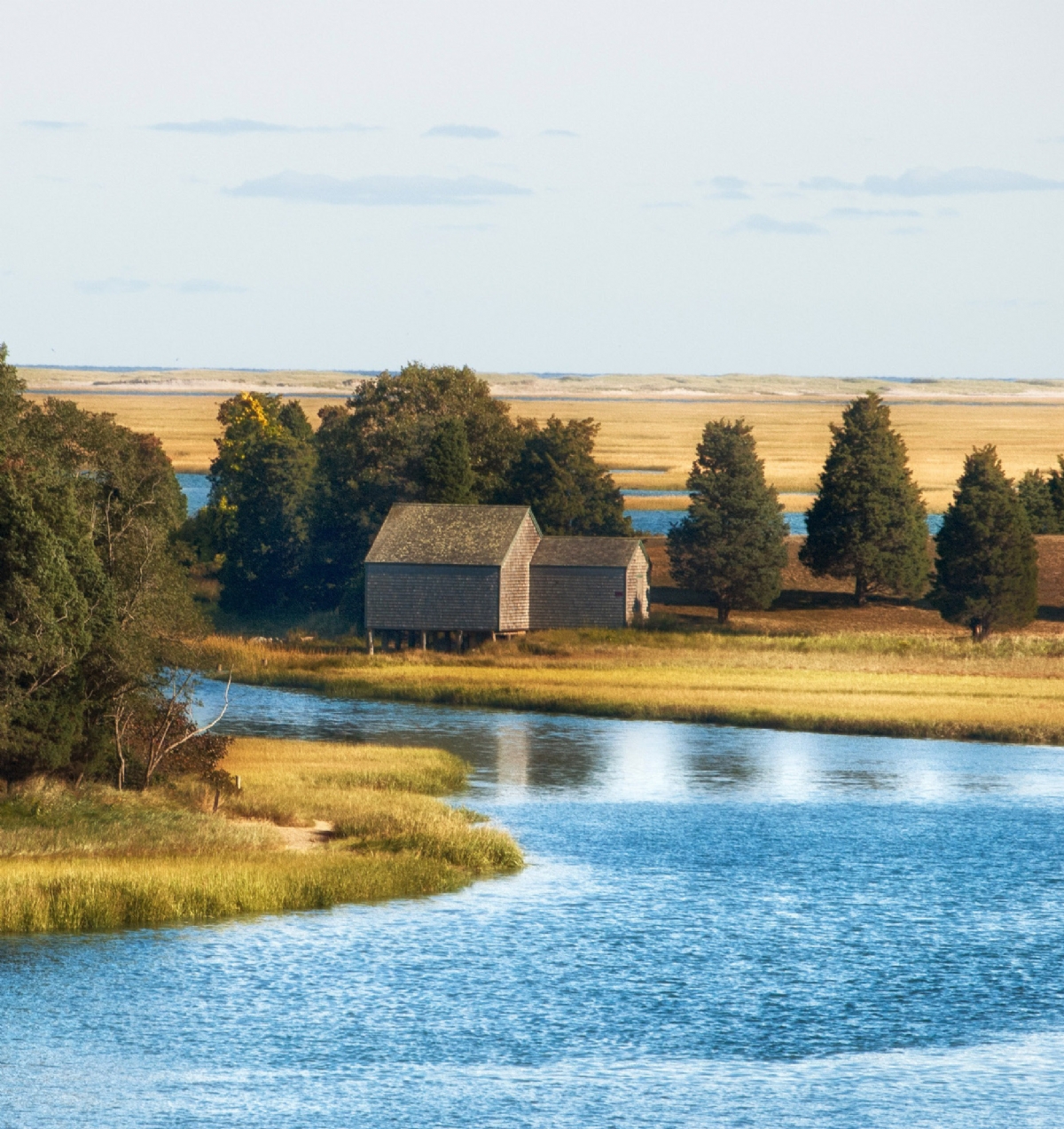 Landscape of Cape Cod