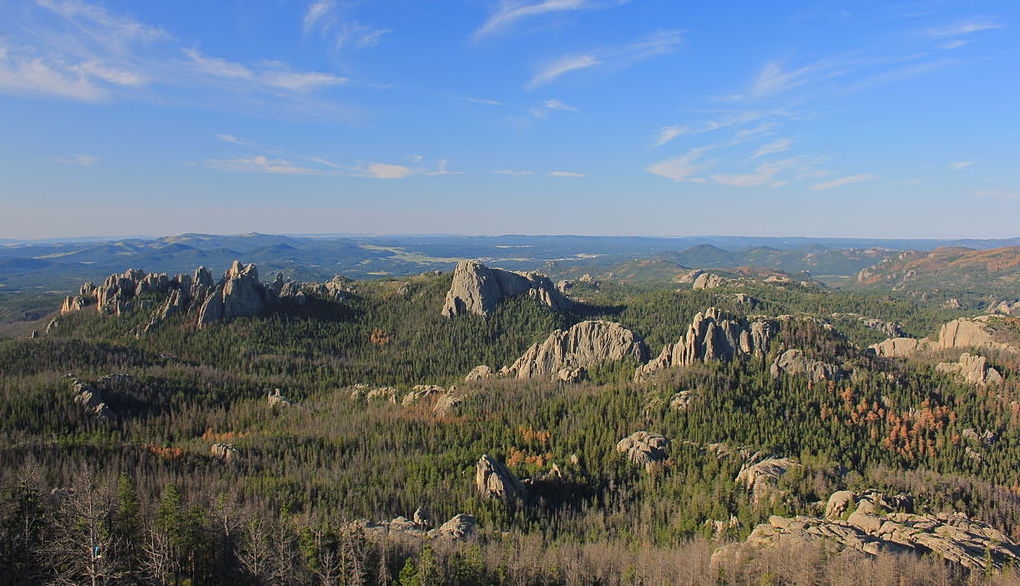 A view of the Black Hills