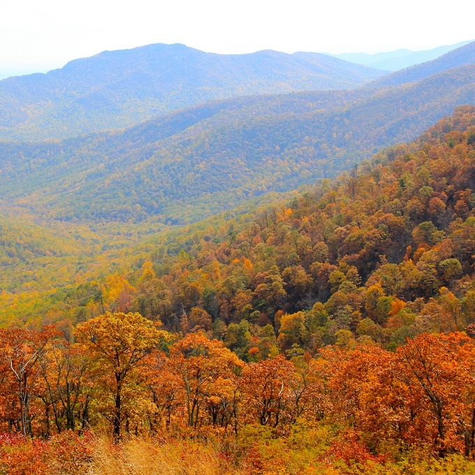 Autumn in the Shenandoah National Park