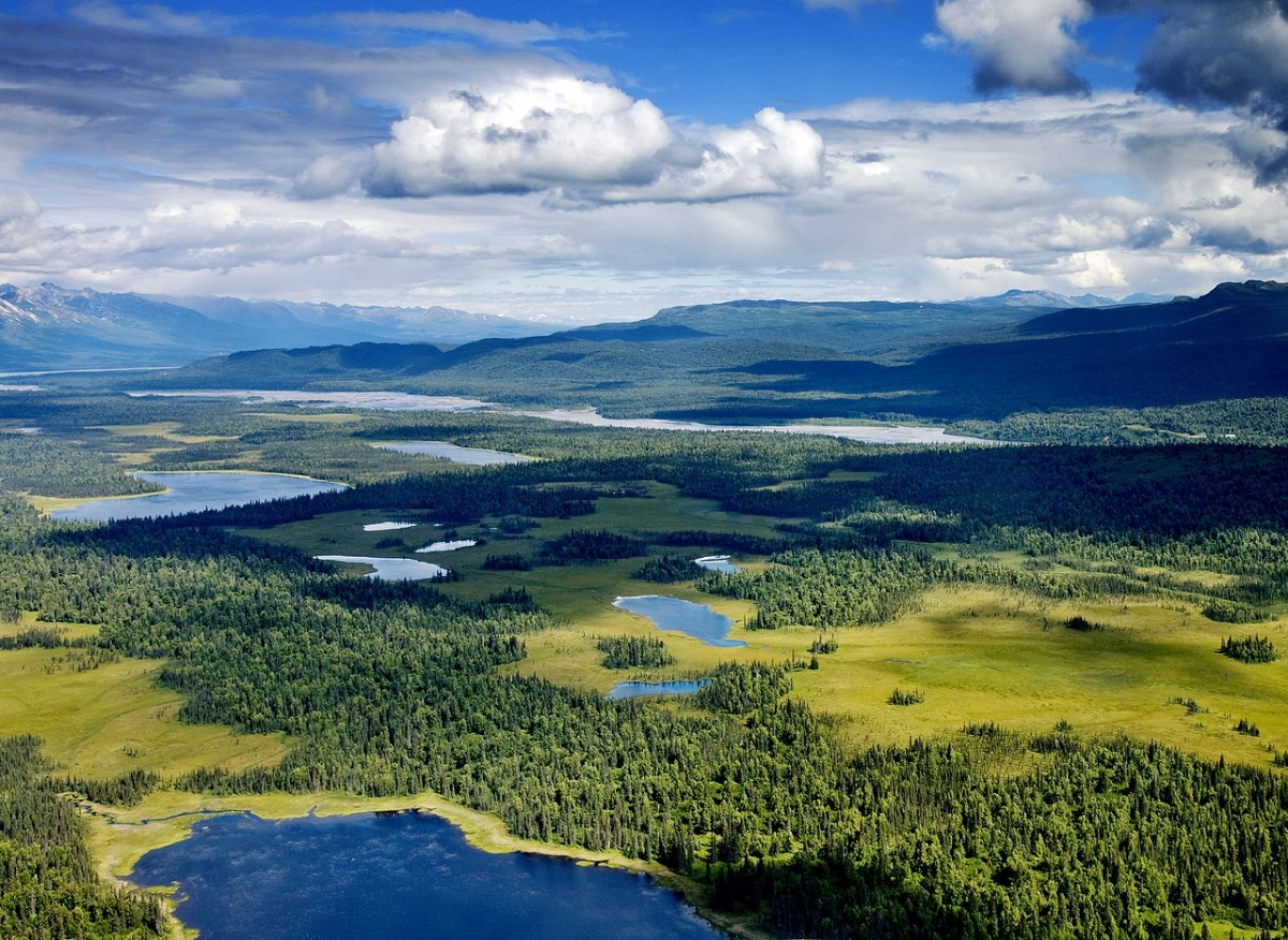 Lakes and forest in the Denali National Park