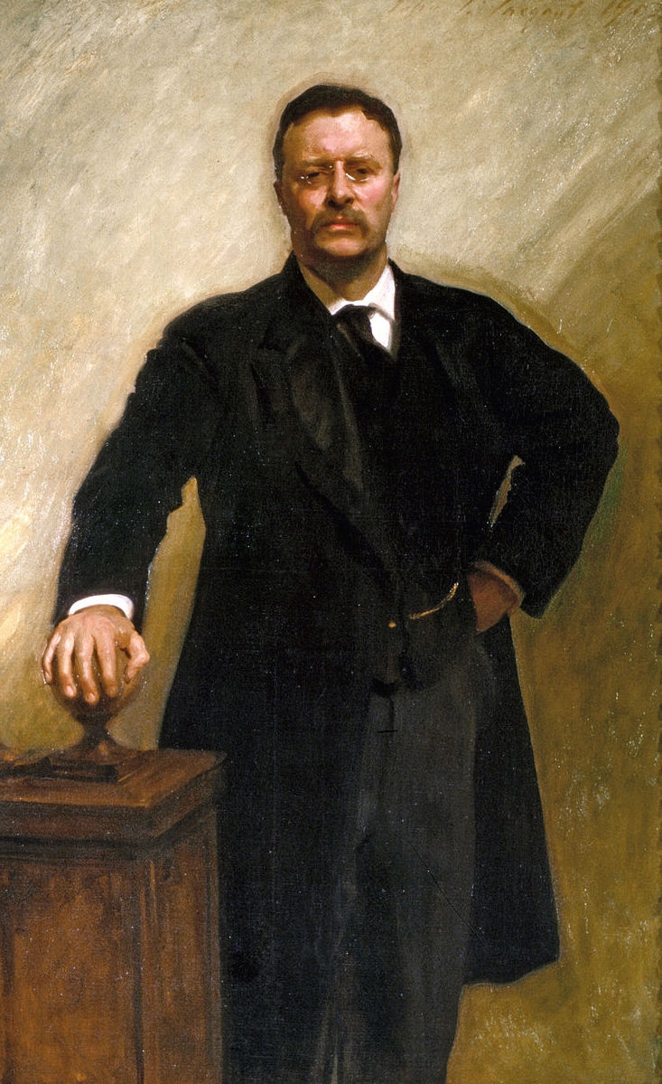 A portrait of Theodore Roosevelt