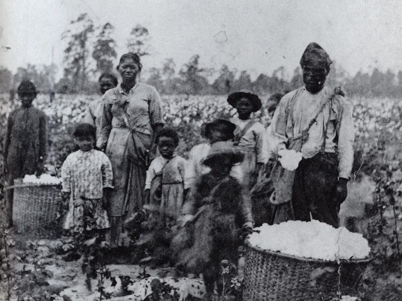 A family of black slaves in a field in Georgia