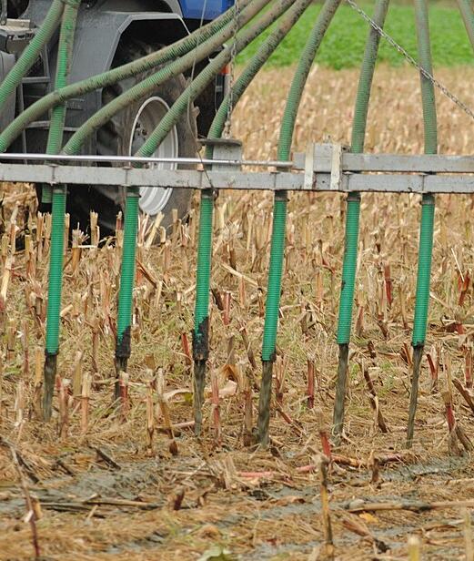 Sewage sludge being spread on the soil as fertilizer