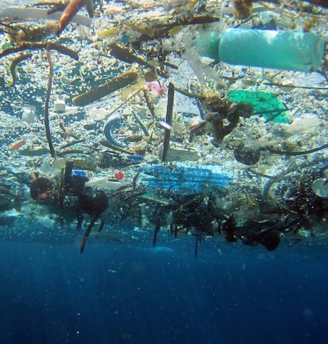 Marine debris in the Great Garbage Patch