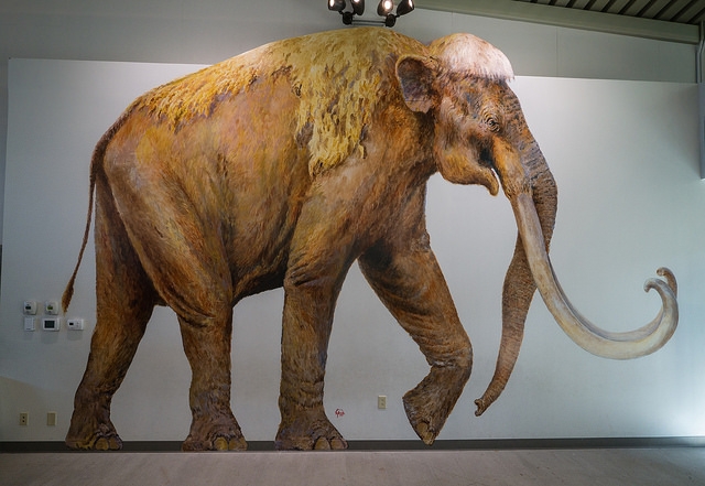 Columbian mammoth
