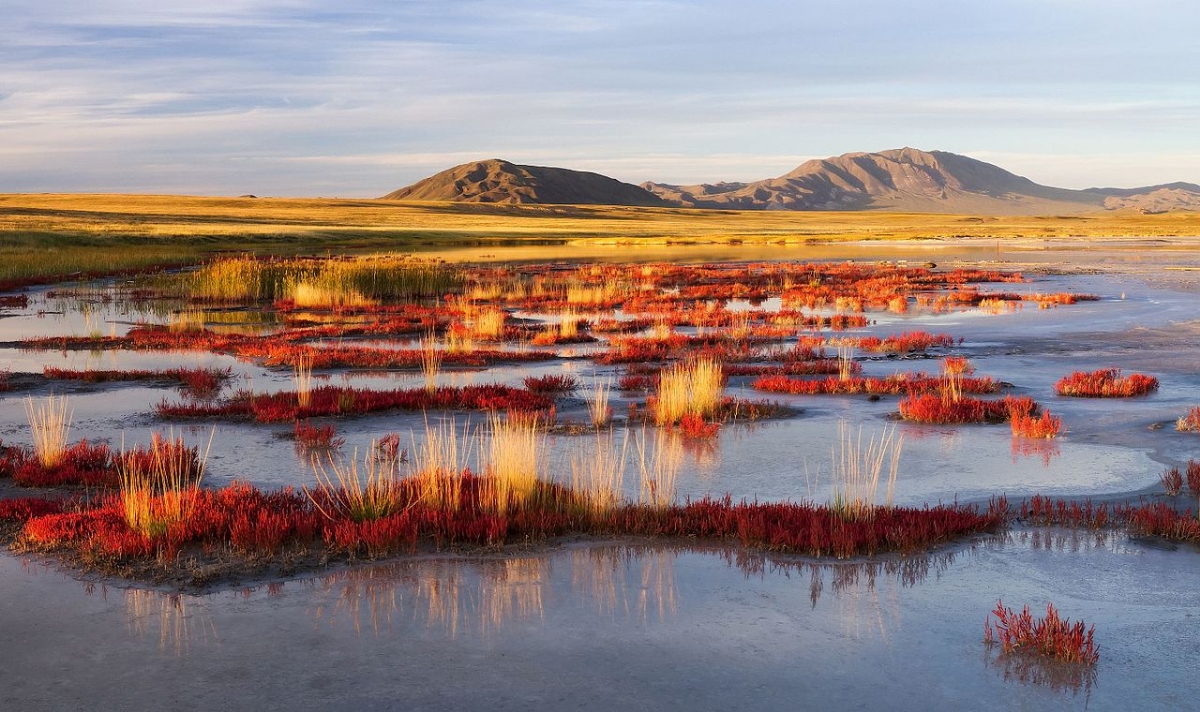 One of the last remaining areas of mammoth steppe