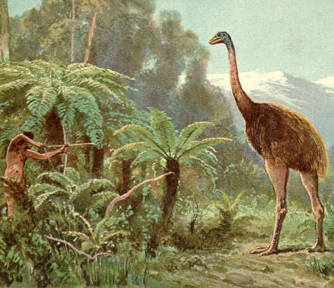 Maori hunting moa