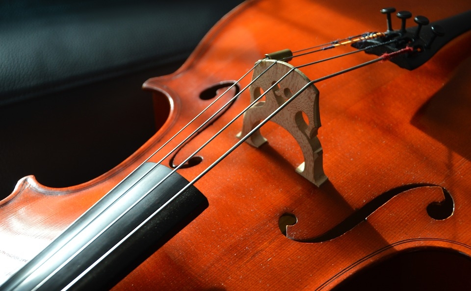 Cello strings seen in close up