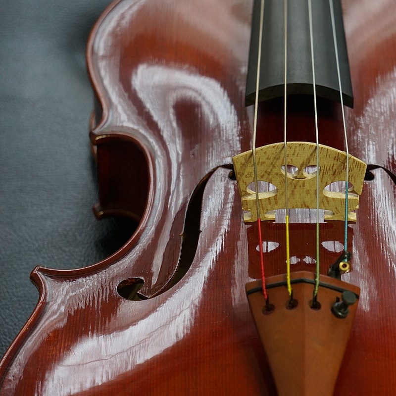 Close up of a viola bridge