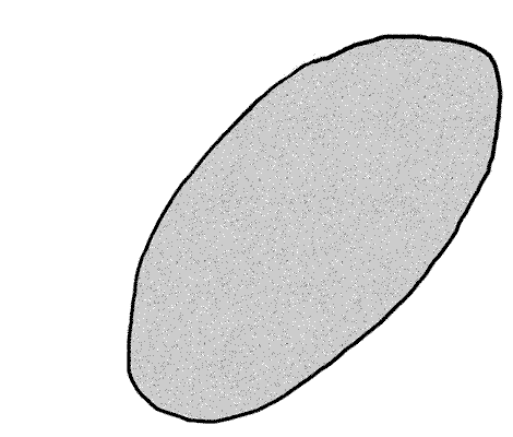 Levallois technique of flint-knapping