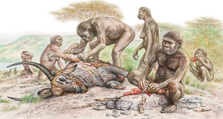 A group of Homo habilis using stone tools