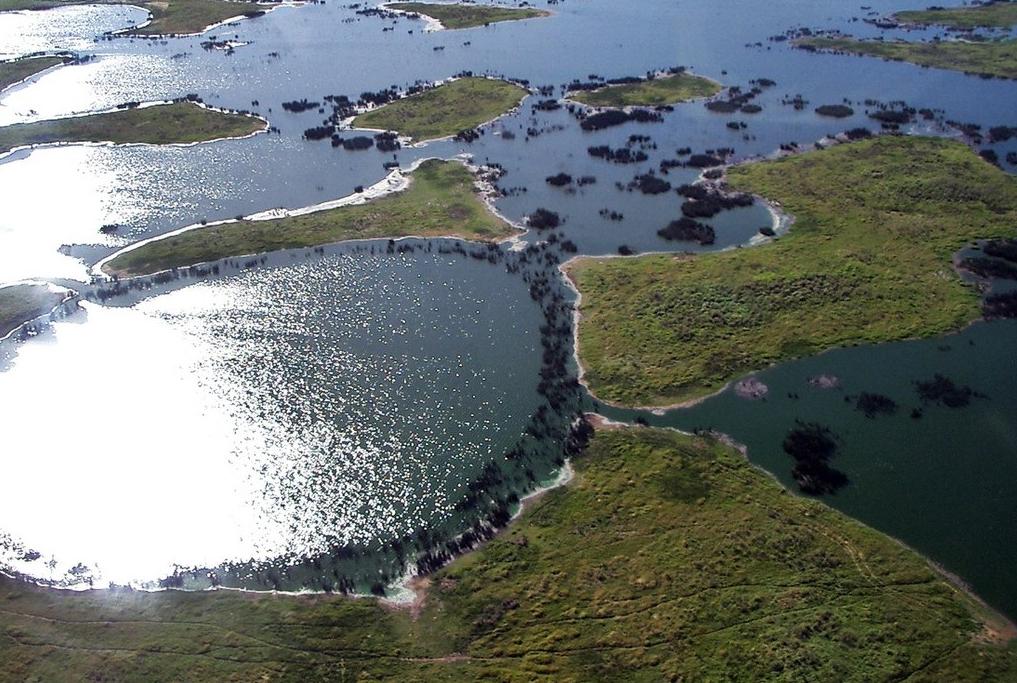 An aerial view of the flooded grasslands of the Pantanal